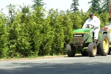 Xe tải bị lật đổ, 250 triệu con ong vỡ tổ gây náo loạn đường phố