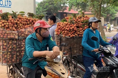 Mỗi năm 1 mùa trắng đêm, đại gia chân đất chia nhau đếm 4.000 tỷ