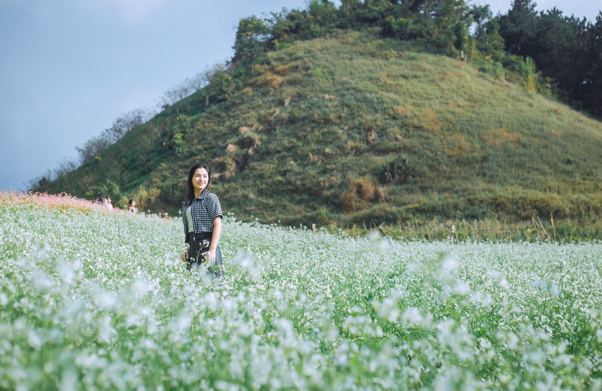 White mustard flowers are vast in Moc Chau, tourists from everywhere flock to take photos - 4