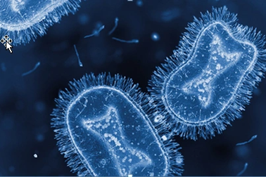 Ca đậu mùa khỉ nội địa đầu tiên tiếp xúc gần 8 người: TPHCM xử lý thế nào?