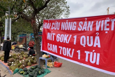 Tắc cửa khẩu, mít Thái "ồ ạt" quay đầu về Hà Nội bán tràn vỉa hè gỡ vốn
