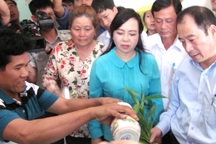 Diệt một loại muỗi phòng được hai loại bệnh nguy hiểm