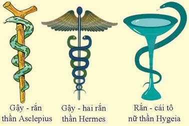 Gậy thiêng và rắn thần