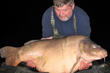 Con cá chép nặng gần nửa tạ