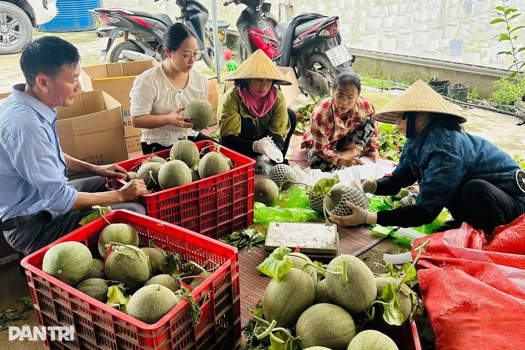 Hành động ấn tượng của UBND xã khi nông dân bị thiệt hại nặng vì bão Kajiki  - 3