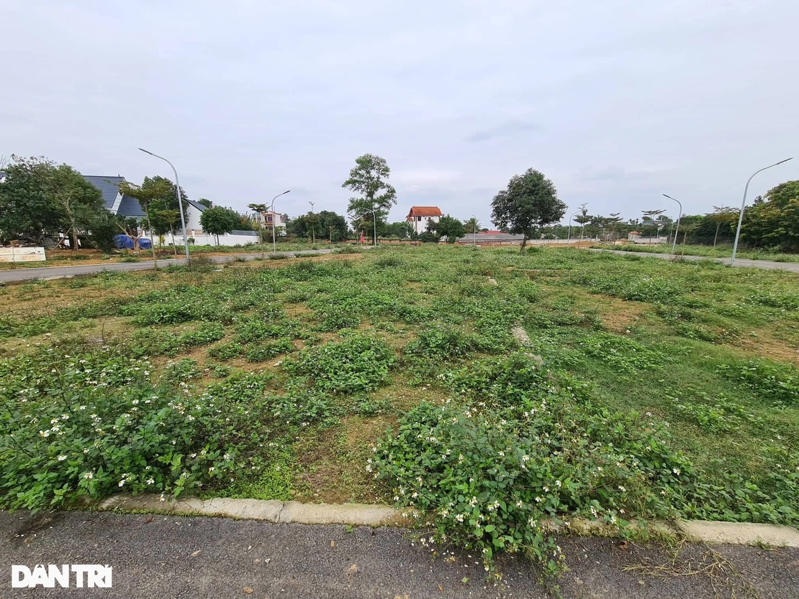 Đẻ đất ở nhằm phân lô bán nền tràn lan: Phải sớm chặn - 3 Đẻ đất ở nhằm phân lô bán nền tràn lan: Phải sớm chặn - 3
