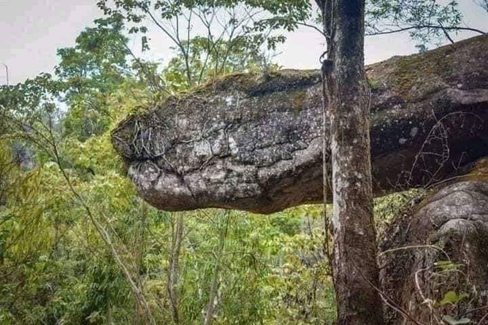 Tìm thấy hang động hình rắn khổng lồ - 4 Tìm thấy hang động hình rắn khổng lồ - 4