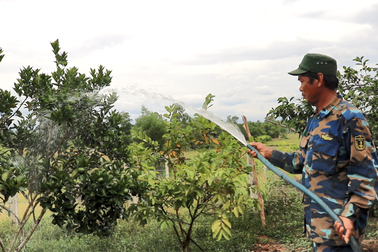 Người cựu chiến binh “bắt” đồi trọc đẻ hơn 700 triệu đồng/năm