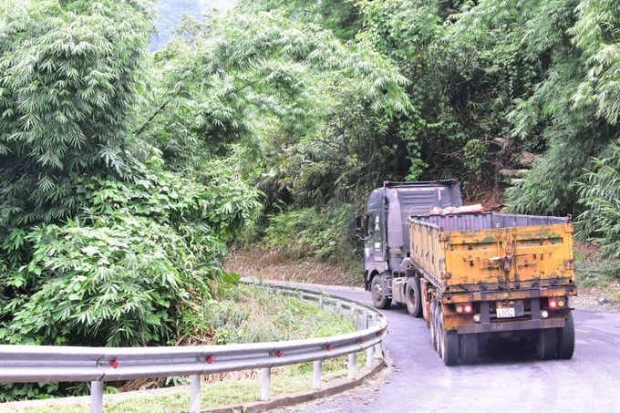 Quốc lộ 49 nối trung tâm TP Huế với huyện miền núi A Lưới, Thừa Thiên Huế có nhiều đoạn dốc, cong quanh co