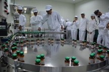 Kết quả khả quan trong nghiên cứu vắc xin dịch tả lợn châu Phi