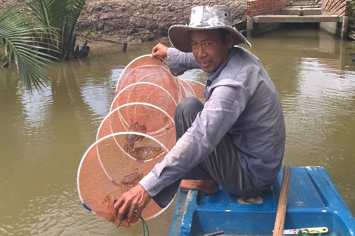 Giá cua đặc sản Cà Mau đạt mức kỷ lục dịp sát Tết - 1 Giá cua đặc sản Cà Mau đạt mức kỷ lục dịp sát Tết - 1
