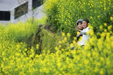 Gom cả mùa xuân để tặng nàng nhân ngày 8/3 - Bạn có làm được không?