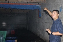 Bỏ quán nhậu, xây nhà dụ chim đến ở, kiếm tiền tỷ