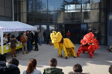 Khai mạc Festival Tết Việt Nam Bính Thân 2016 tại Grenoble