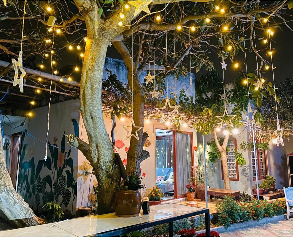 Vườn 60m2 như cửa hàng tiện lợi toàn rau sạch của mẹ đảm Bình Thuận - 8 Vườn 60m2 như cửa hàng tiện lợi toàn rau sạch của mẹ đảm Bình Thuận - 8