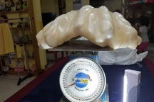 Báu vật triệu USD bị vứt xuống gầm giường vì... không biết giá trị