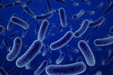 Chăm sóc sức khỏe bằng hệ sản phẩm Bào tử lợi khuẩn Dr. ANH