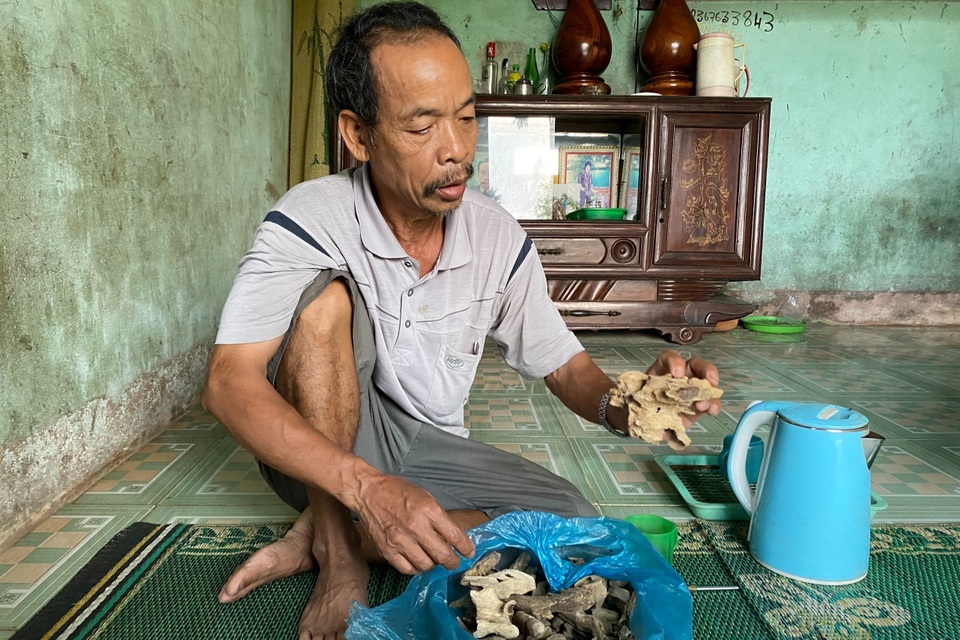 Giấc mơ nuôi trầm hương bạc tỷ nơi đại ngàn - 3 Giấc mơ nuôi trầm hương bạc tỷ nơi đại ngàn - 3