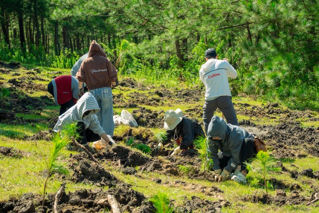 Colline Dalat tiếp nối hành trình Go Green 2026 tại Lang Biang - 4