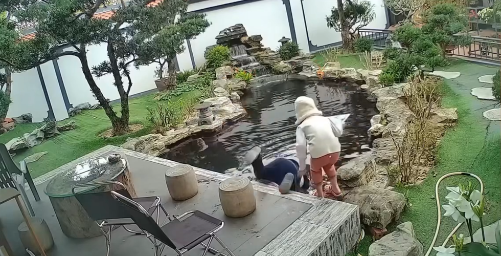 Clip "em bé suýt nguy kịch khi bị ngã xuống hồ cá" nổi bật tuần qua