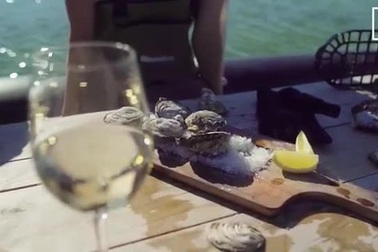 Hàu béo ngậy ở vịnh Coffin, Australia