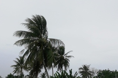 Bạc Liêu, Cà Mau sẵn sàng ứng phó ảnh hưởng của bão số 1