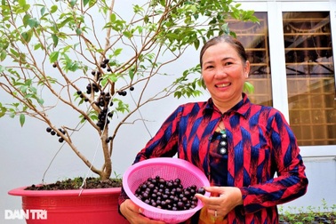 Bí quyết trồng nho lạ cho quả từ gốc tới ngọn, kiếm hàng chục triệu/tháng