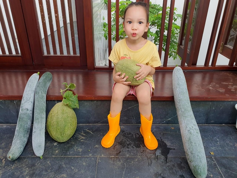 Hai vườn trĩu rau trái, ngát hương hoa hồng của gia đình Hà Nội - 13 Hai vườn trĩu rau trái, ngát hương hoa hồng của gia đình Hà Nội - 13