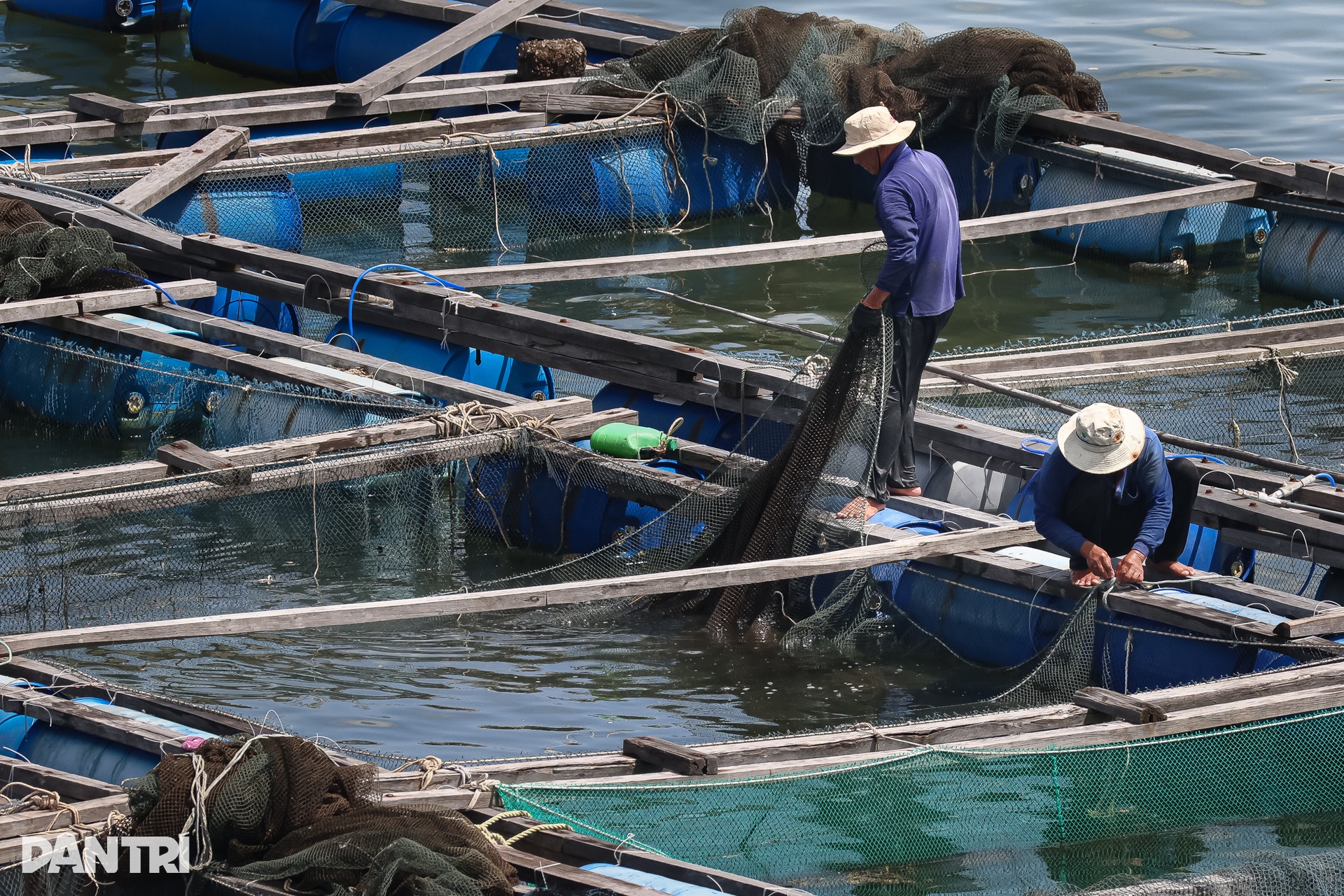 Khám phá khung cảnh bình yên tại xã đảo Long Sơn ở TPHCM - 4 Khám phá khung cảnh bình yên tại xã đảo Long Sơn ở TPHCM - 4