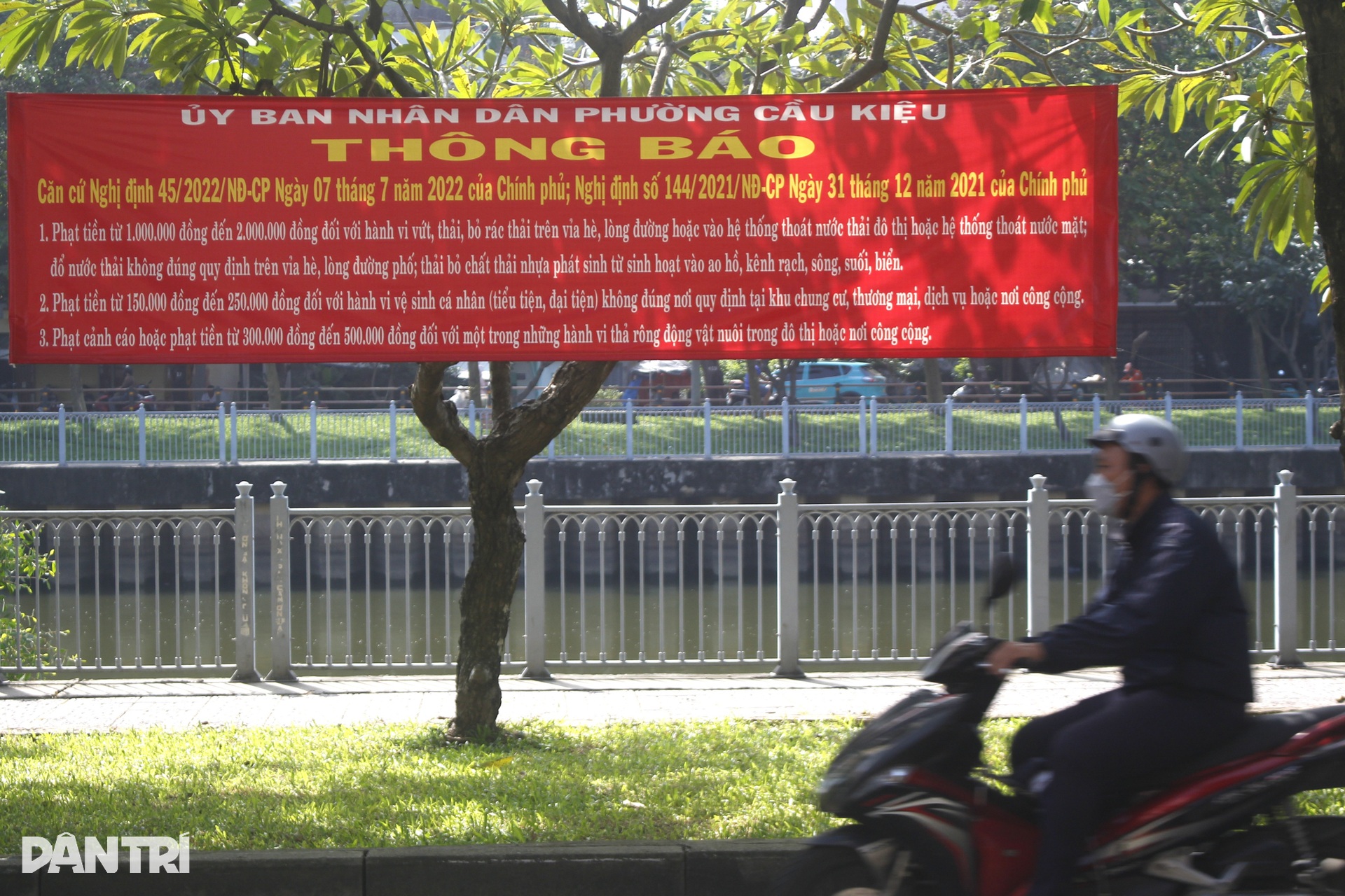 Nỗi ám ảnh từ chó không rọ mõm, phóng uế bừa bãi ở TPHCM - 11