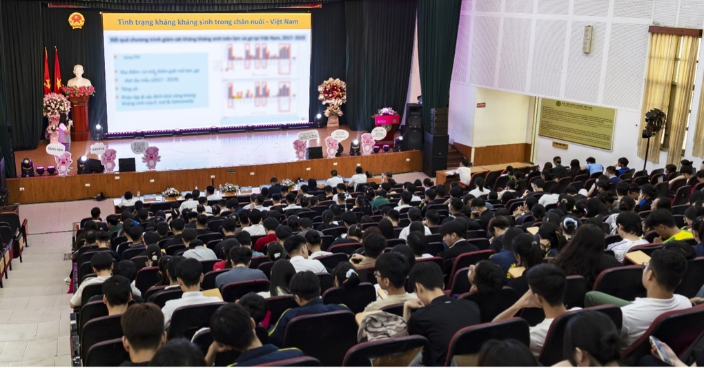 Giảm kháng sinh, nâng cao năng suất chăn nuôi heo - 1 Giảm kháng sinh, nâng cao năng suất chăn nuôi heo - 1