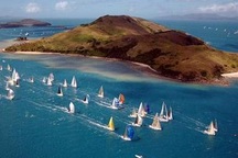 “Osama bin Laden” nộp đơn xin việc ở Australia