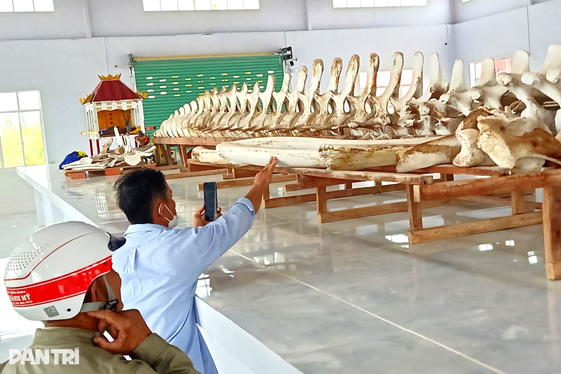 Về cửa biển Cái Cùng chiêm ngưỡng ngọc cốt cá Ông dài nhất, nhì miền Tây - 7 Về cửa biển Cái Cùng chiêm ngưỡng ngọc cốt cá Ông dài nhất, nhì miền Tây - 7