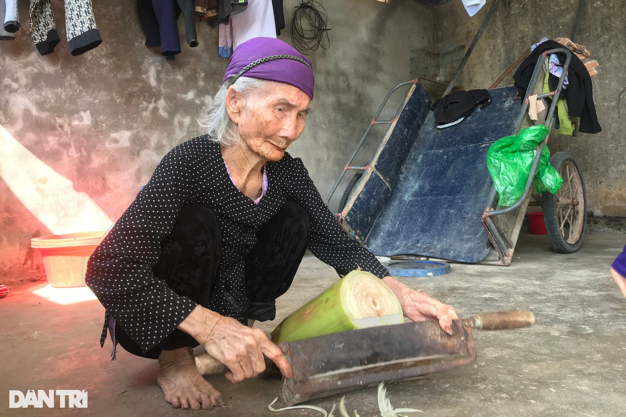 Làng trường thọ ở Nghệ An: Cụ bà 106 tuổi thái rau nuôi gà - 3 Làng trường thọ ở Nghệ An: Cụ bà 106 tuổi thái rau nuôi gà - 3