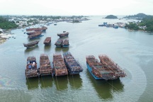 Một thuyền trưởng tàu cá bị phạt gần 700 triệu đồng