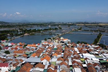 520 cán bộ xã, phường sẽ được giải quyết thôi việc từ 1/7