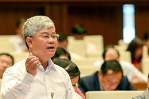 Giàu khủng từ nuôi lợn, buôn chổi đót: "Tôi không tin..."