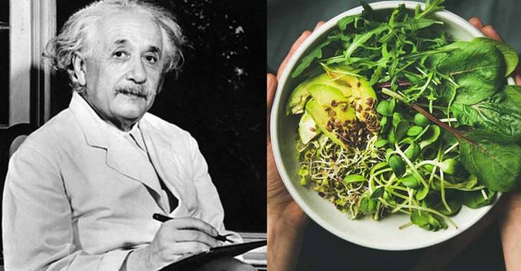 Bữa ăn tiêu chuẩn của Albert Einstein có gì đặc biệt? - 1 Bữa ăn tiêu chuẩn của Albert Einstein có gì đặc biệt? - 1
