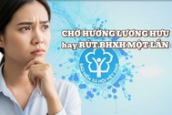 Lương hưu lợi gấp nhiều lần, lao động rút BHXH một lần giảm mạnh