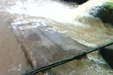 Con nhỏ 5 tuổi chết đuối vì bố bất cẩn 