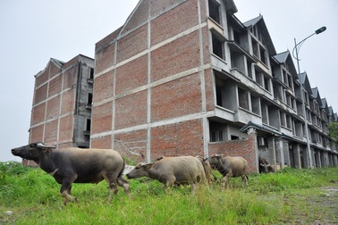 "Bộ sậu" lãnh đạo PVTex đã gây thiệt hại hàng chục tỉ đồng như thế nào?