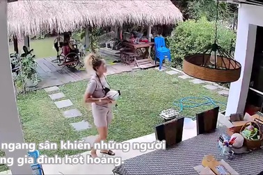 Rắn bất ngờ xuất hiện trong sân vườn khiến cả gia đình hoảng loạn