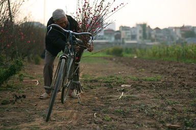 Khoảng lặng ngày Xuân