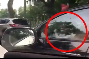 Sẽ xử nghiêm vụ bé gái lái xe biển xanh trên đường phố Hà Nội