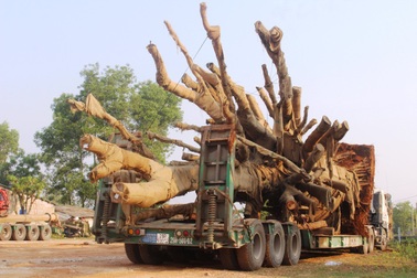 3 cây “quái thú” chuẩn bị rời Huế