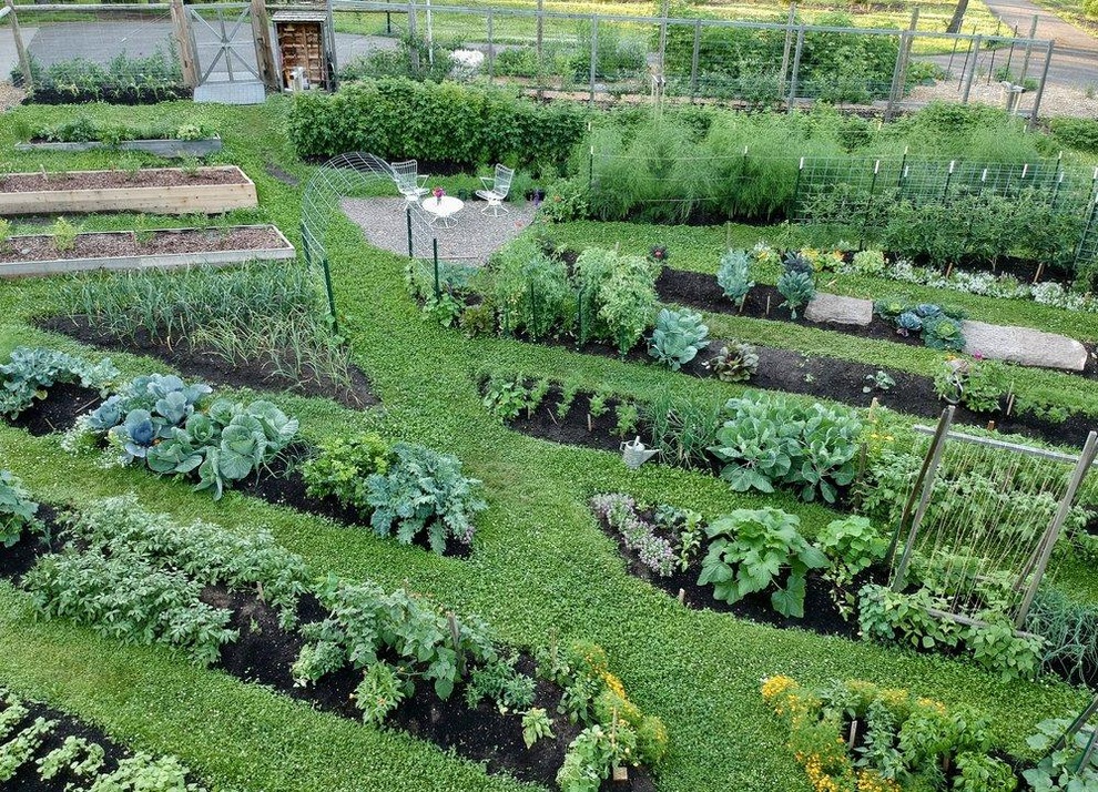 Vợ chồng đưa con ra ngoại thành làm vườn 500m2 quy hoạch ấn tượng - 2