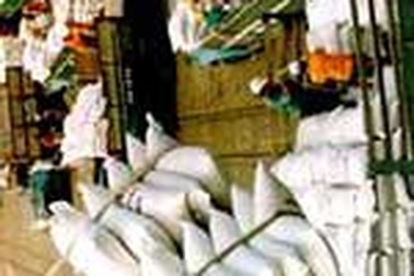 Giá gạo thế giới đồng loạt tăng