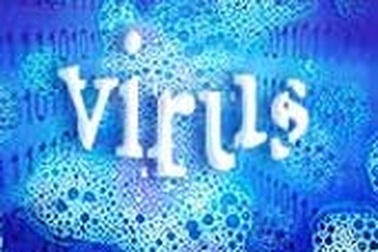 Một “sâu Internet” mới xuất hiện ở Việt Nam