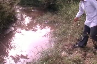 Chết hoa màu, hàng chục hộ dân khiếu kiện nhà máy cồn