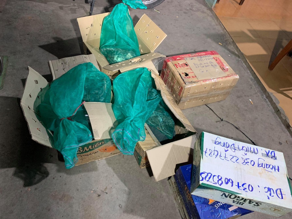 Mang động vật hoang dã trên xe khách đem đi tiêu thụ - 2 Mang động vật hoang dã trên xe khách đem đi tiêu thụ - 2